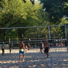 Volleyball Courts