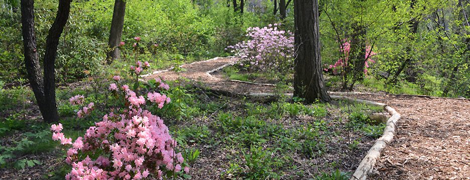 Hallett Nature Preserve