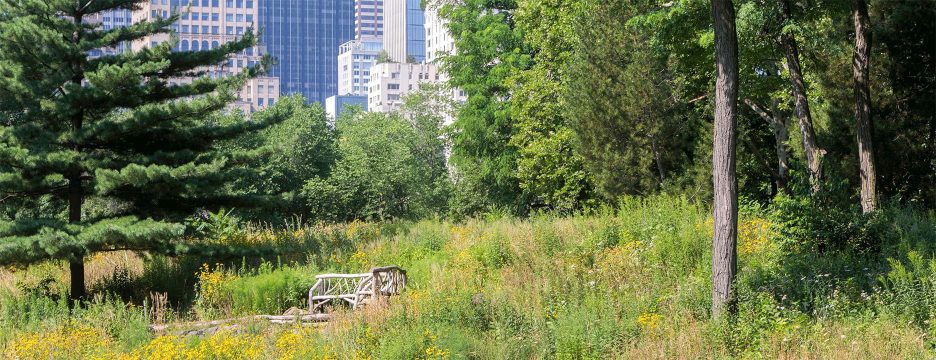Dene Slope