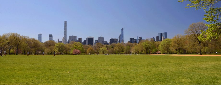 Great Lawn