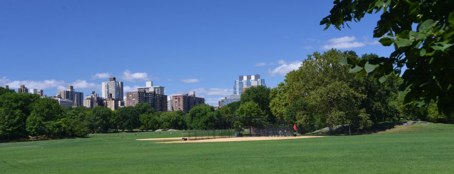 North Meadow