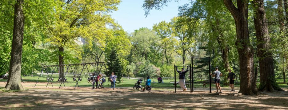Pinetum Playground