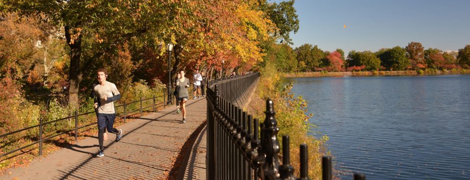 Shuman Running Track