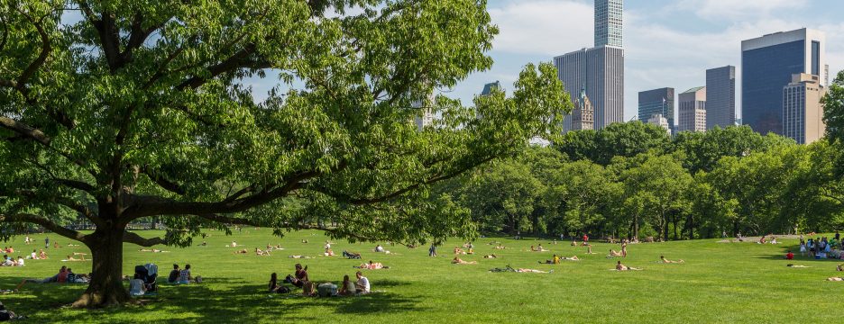 Sheep Meadow