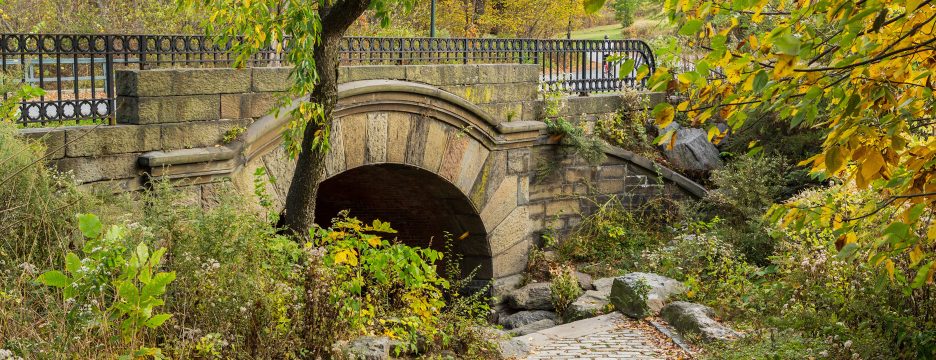 Springbanks Arch