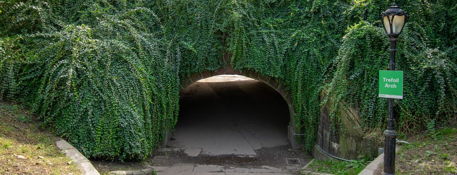 Trefoil Arch