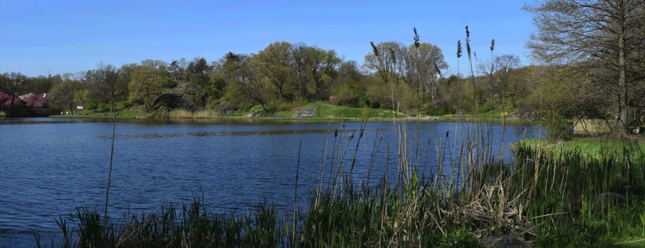 Harlem Meer