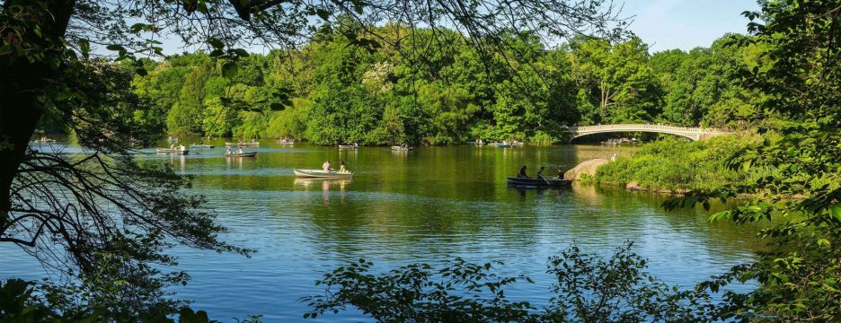 Lake