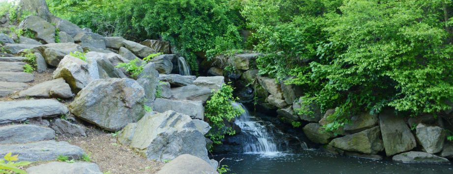 North Woods