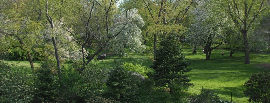 Seneca Village