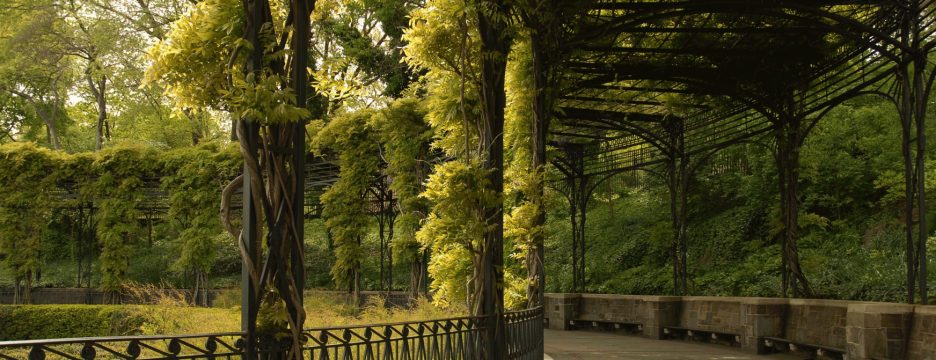 Wisteria Pergola Conservatory Garden