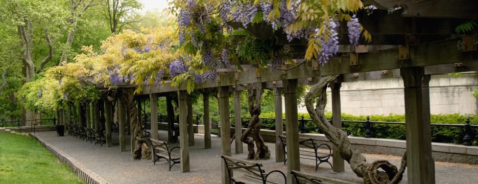 Wisteria Pergola Mall