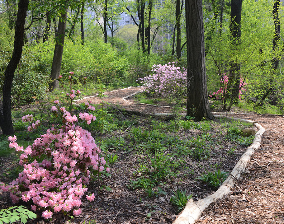 Hallett Nature Preserve