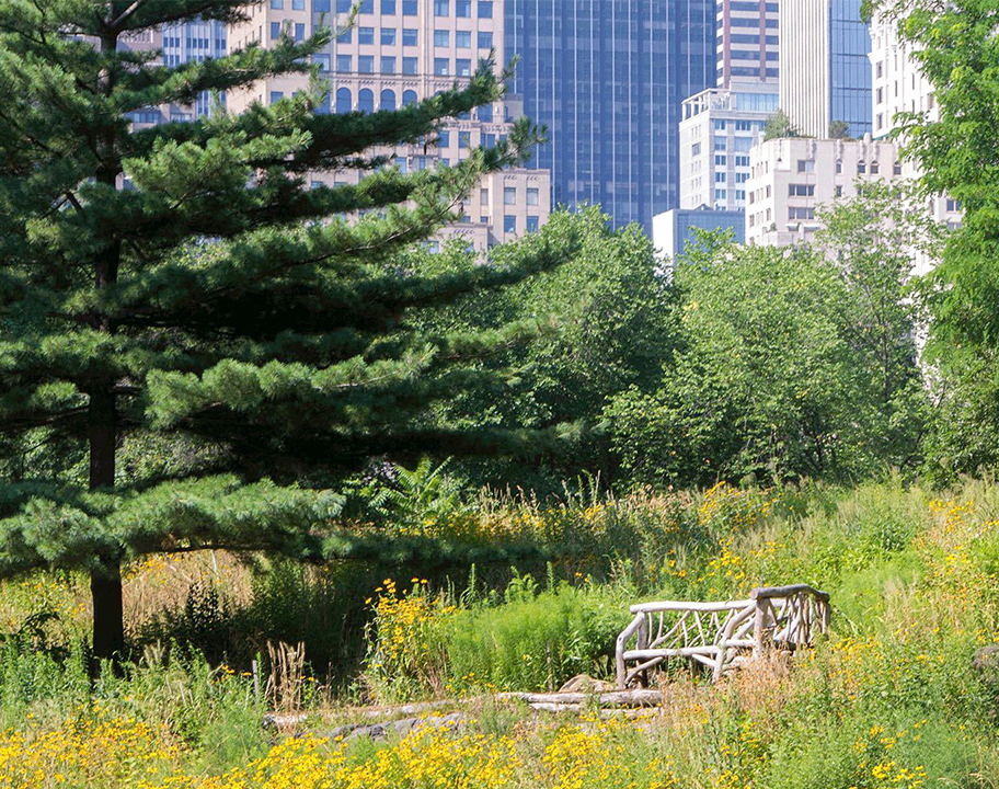 Dene Slope