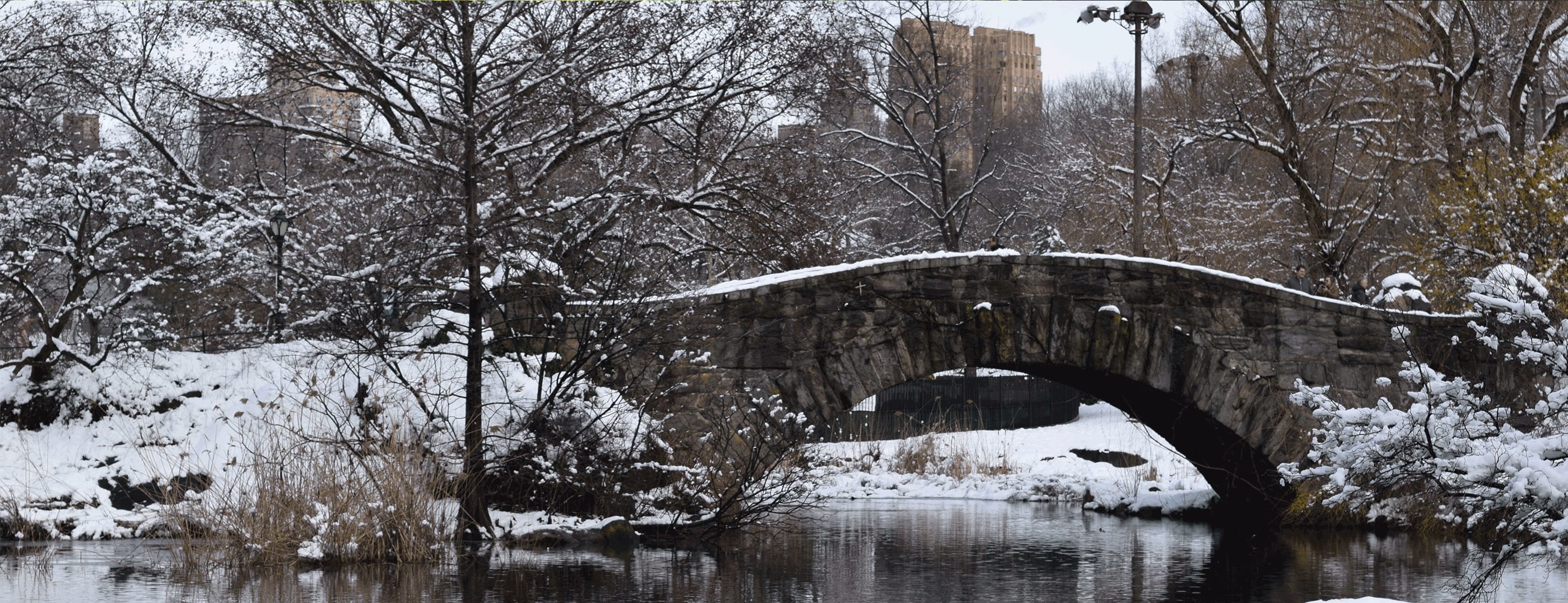 Gapstow Bridge