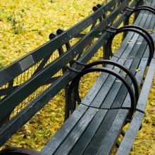Adopt-a-Bench