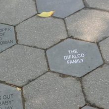 Paving Stone