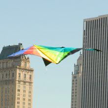 Kite Flying