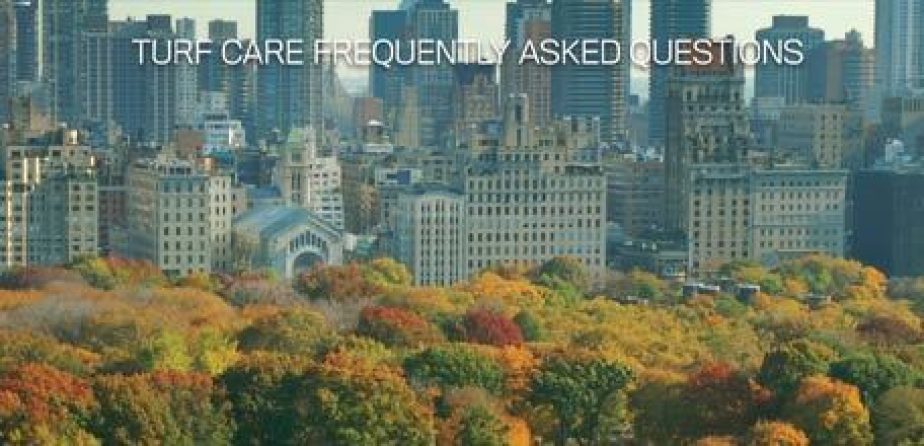 Turf Care FAQ