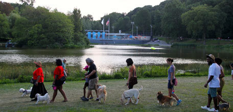 You Gotta Have Bark: Engaging the Dog-Owning Community in Park Care
