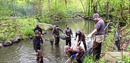 Conserving the Natural Areas of New York City: A Conversation with the Natural Areas Conservancy