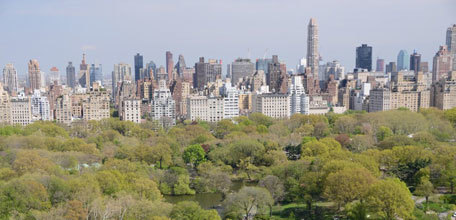 Public-Private Park Partnerships: The Central Park Conservancy