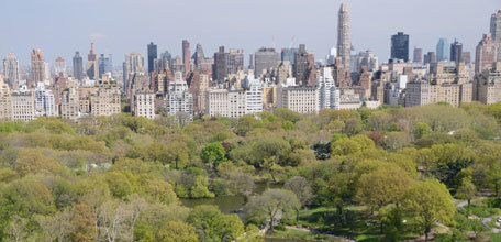 Public-Private Partnerships: The Central Park Conservancy Experience (6/15/16)