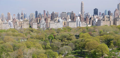 Public-Private Partnerships: The Central Park Conservancy Experience (9/10/15)