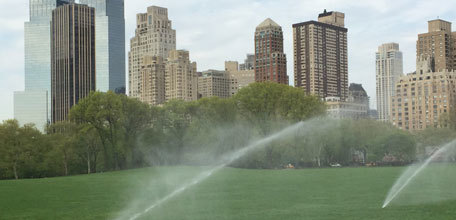 Talking Turf: Athletic Field Management in Central Park