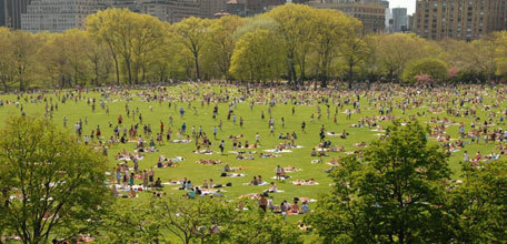 The Central Park Effect: Urban Parks as an Economic Development Strategy