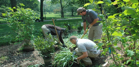Zone Management: The Central Park Conservancy Approach to Park Operations