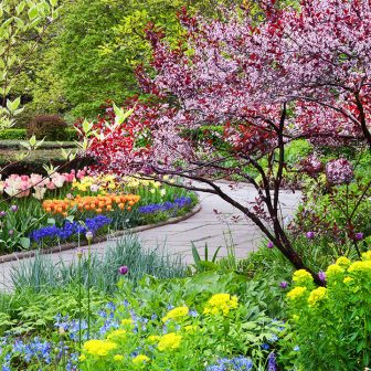 Conservatory Garden Spring Blooms