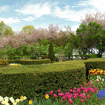 Conservatory Garden in full bloom