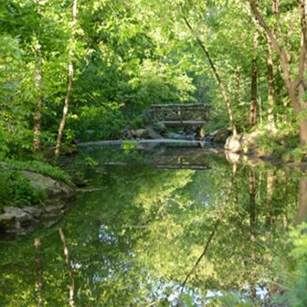 Discovery Walk North Woods