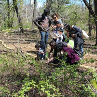 Discovery Walks Ramble