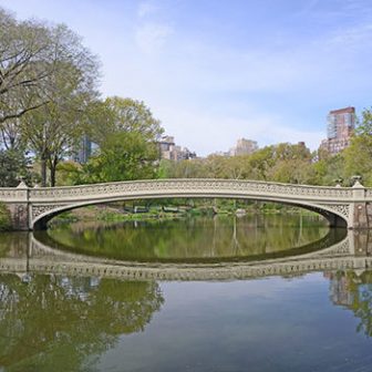 Heart of the Park
