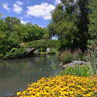 Southern Welcome Pond Summer