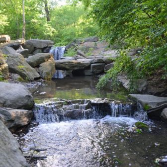 A stream waterfalls through lush greenery