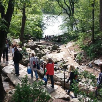 The Ramble in summer