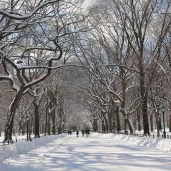 Central Park in winter