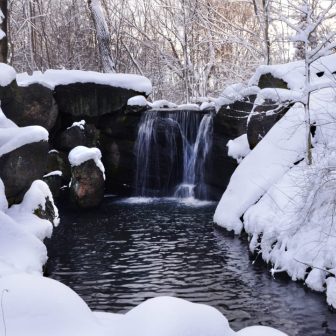 North Woods in winter