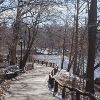 The Ramble in winter