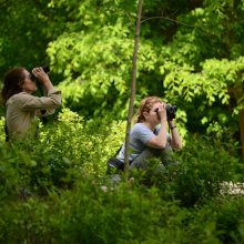 Birders birding the Ramble