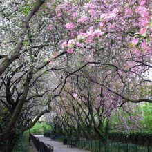 Conservatory Garden
