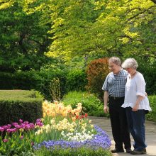 Conservatory Garden with Couple