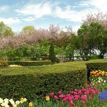 Conservatory Garden in full bloom