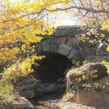 A North Woods arch in autumn