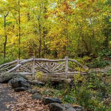 North Woods Tour