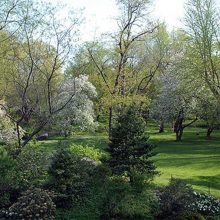 Seneca Village