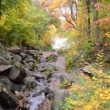 Fall Foliage Ramble Tour